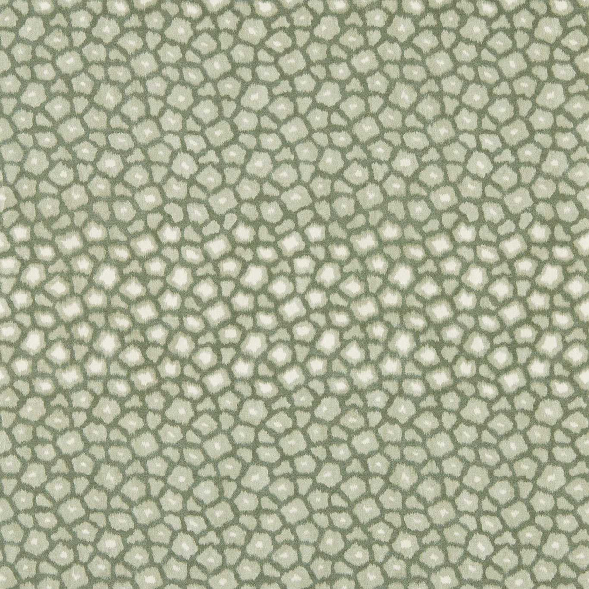 Loam Wallpaper - Evergreen - HDMW113296
