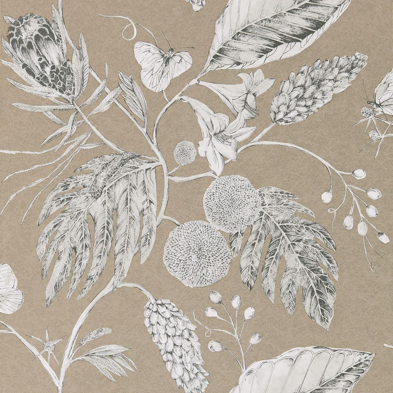 Amborella Wallpaper - Pebble - Harlequin - HGAT111222 - Morris Wallpaper