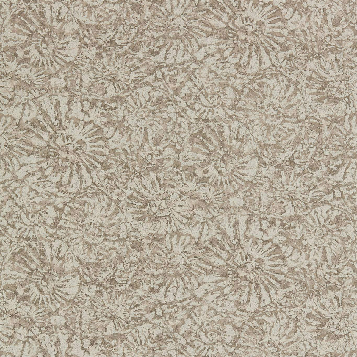 Anthology Ammonite Wallpaper - Shell - Harlequin - EANW112564 - Morris Wallpaper