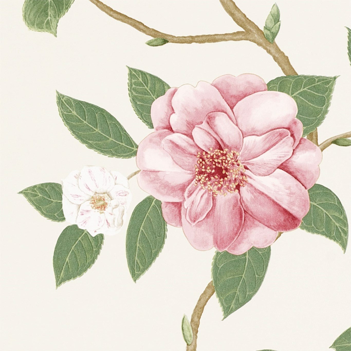 Christabel Wallpaper - Coral/Ivory - DVOY213374