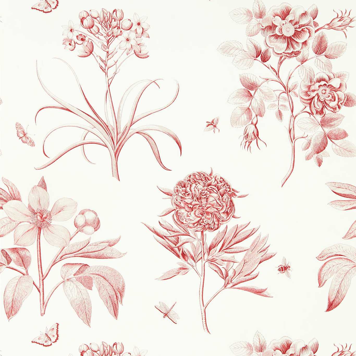 Etchings & Roses Wallpaper - Amanpuri Red - DOSW217054 - Sanderson
