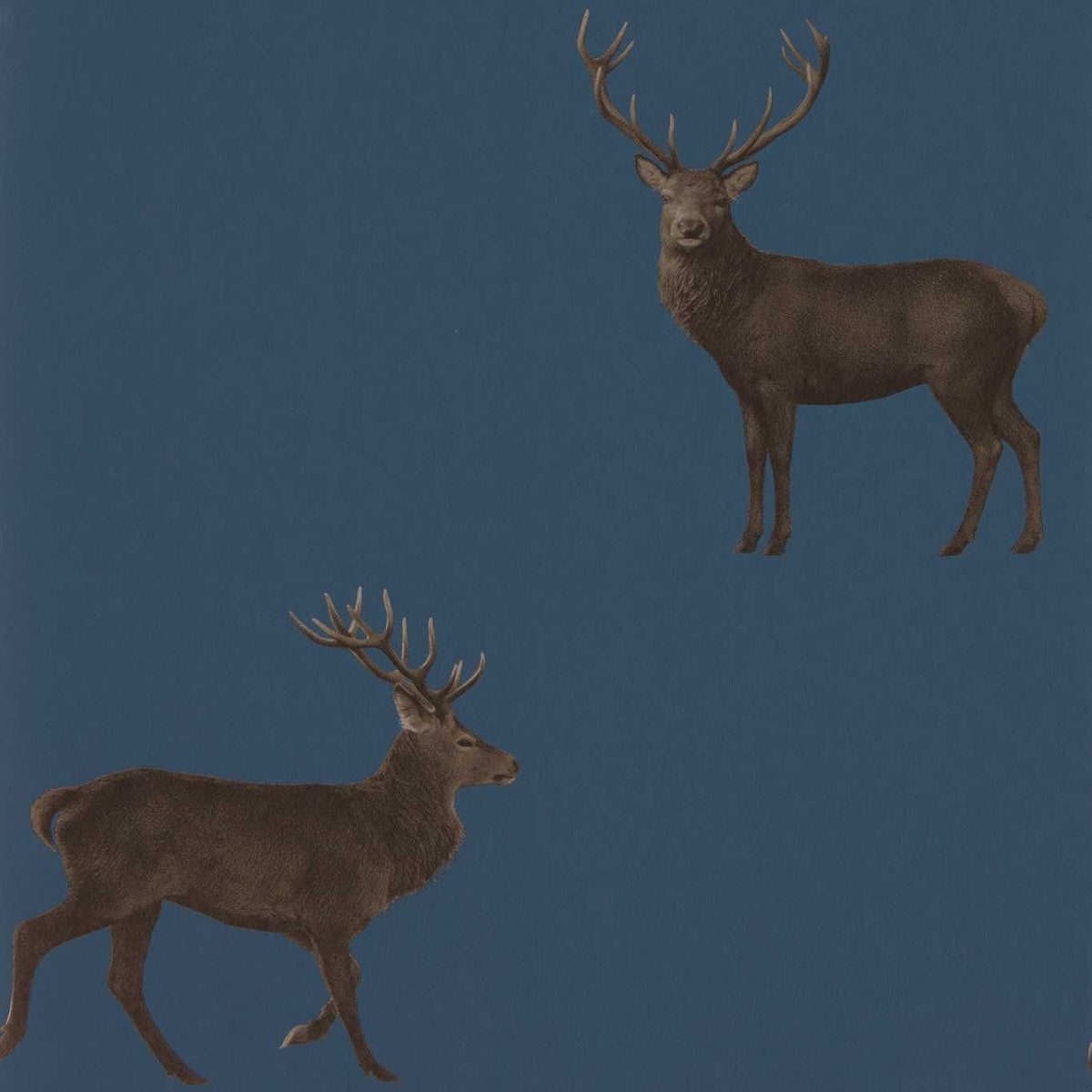 Evesham Deer Wallpaper - Indigo - DYSI216620