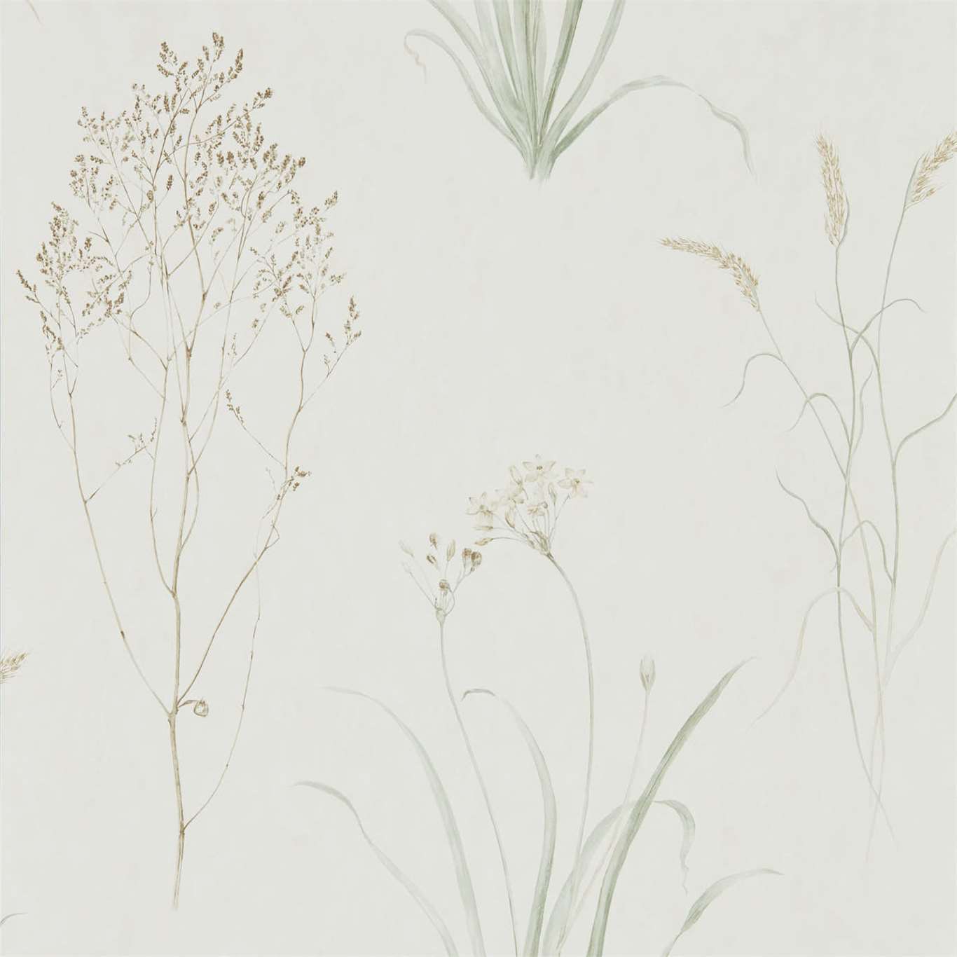 Farne Grasses Wallpaper - Willow/Pebble - Sanderson - DEBB216488