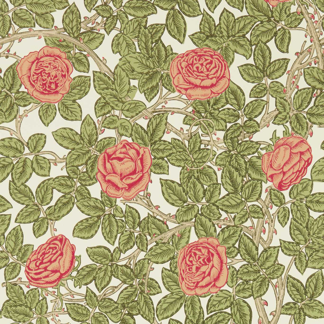 Morris & Co Rambling Rose Wallpaper in Twining Vine - 217207