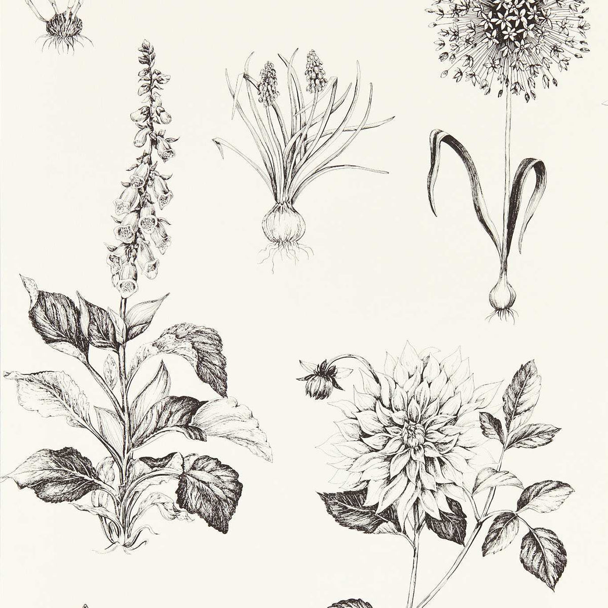 Roseraie Wallpaper - Charcoal - Clarke & Clarke - W0197/02 - Morris Wallpaper