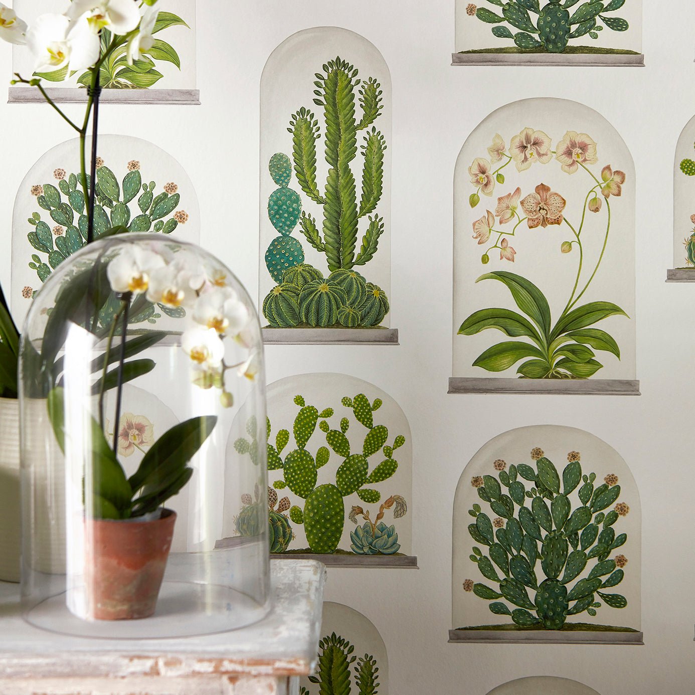 Terrariums Wallpaper - Botanical Green/Multi - Sanderson - DGLW216656