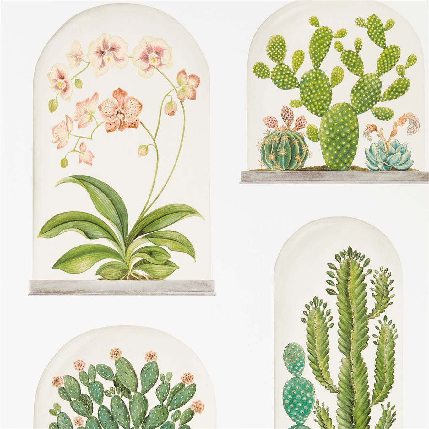 Terrariums Wallpaper - Chalk/Green - Sanderson - DGLW216655