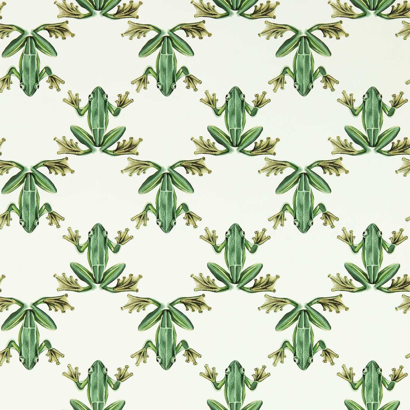 Wood Frog Wallpaper - Forest/Chalk - Harlequin - HC4W113011 - Morris Wallpaper