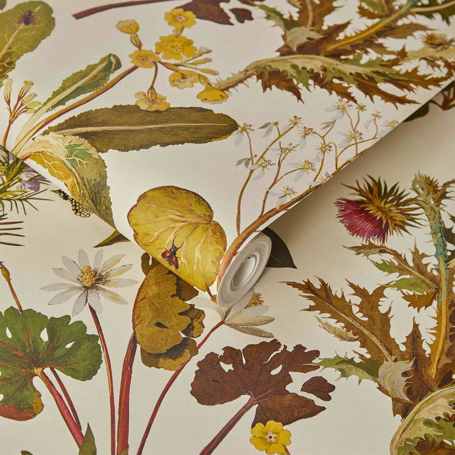 Herbarium Wallpaper - Ecru - 1-WA-HER-DI-ECR-XXX