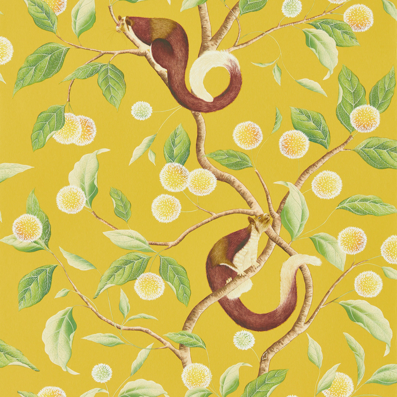 Nellie Wallpaper - Honey/Meadow - HDHW112905