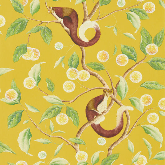 Nellie Wallpaper - Honey/Meadow - HDHW112905