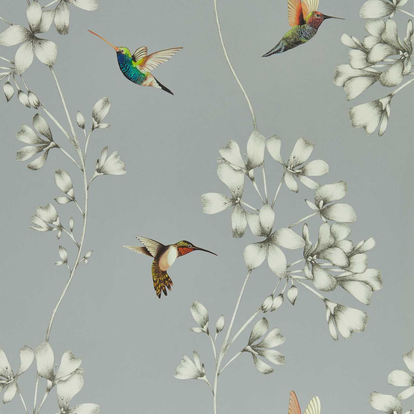 Amazilia Wallpaper - French Grey/Stone - Harlequin - HTEW112605 - Morris Wallpaper
