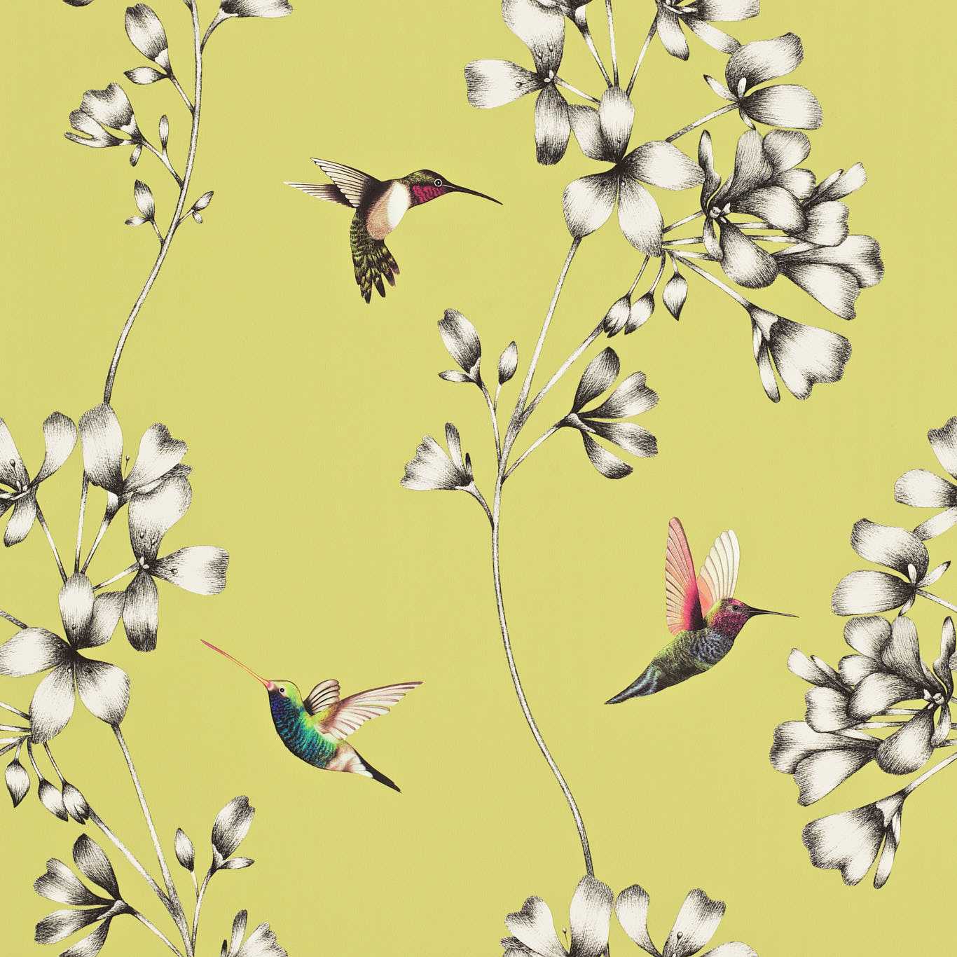 Amazilia Wallpaper - Gooseberry - Harlequin - HAMA111061 - Morris Wallpaper