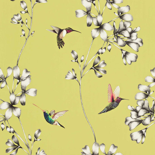 Amazilia Wallpaper - Gooseberry - Harlequin - HAMA111061 - Morris Wallpaper