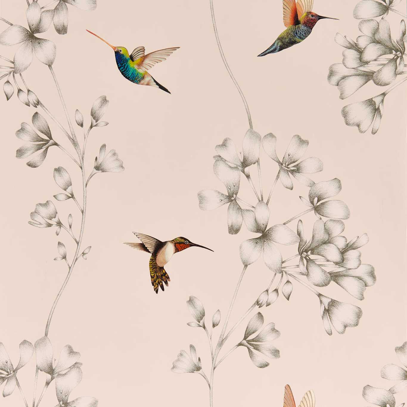 Amazilia Wallpaper - Powder/Pearl - Harlequin - HTEW112606 - Morris Wallpaper