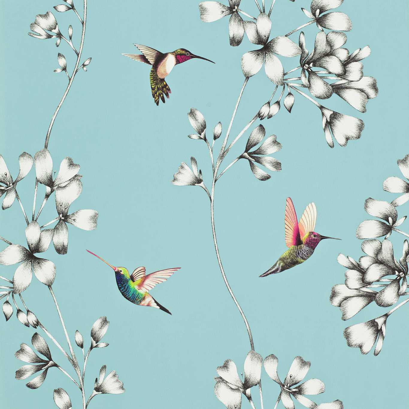 Amazilia Wallpaper - Sky - Harlequin - HAMA111060 - Morris Wallpaper