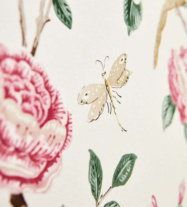 Andhara Wallpaper - Rose/Cream - DCPW216795 - Sanderson - Morris Wallpaper