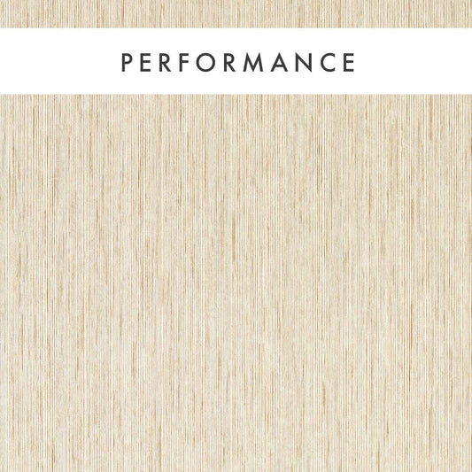 Asper Wallpaper - Sahara - Clarke & Clarke - W0205/05 - Morris Wallpaper