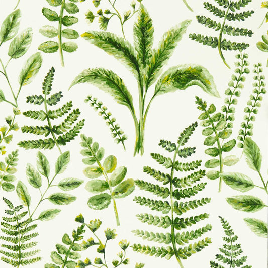 Bracken Wallpaper - Forest - Clarke & Clarke - W0156/02 - Morris Wallpaper