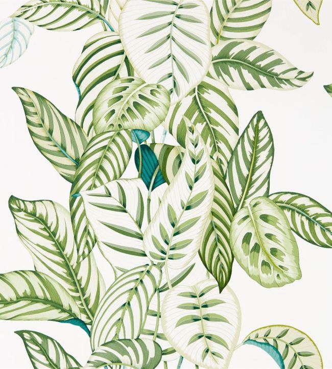 Calathea Wallpaper - Botanical Green - DGLW216630 - Sanderson - Morris Wallpaper