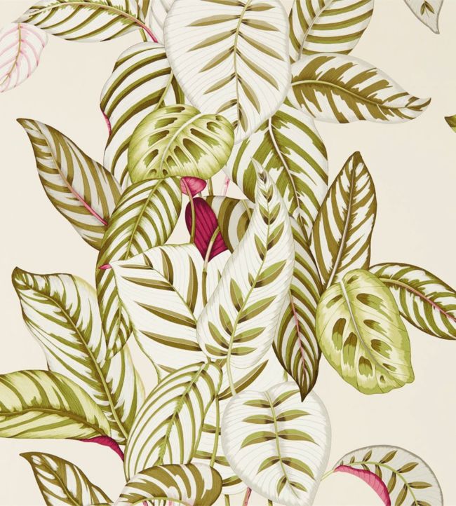 Calathea Wallpaper - Olive - DGLW216631 - Sanderson - Morris Wallpaper