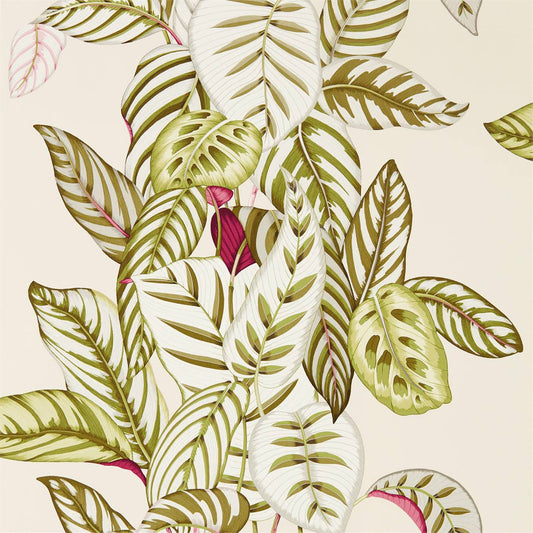 Calathea Wallpaper - Olive - Sanderson - DGLW216631