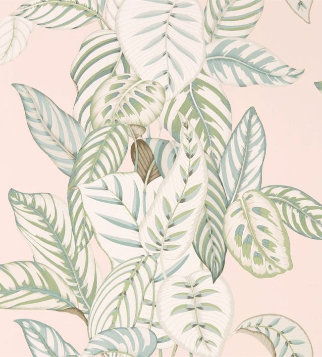 Calathea Wallpaper - Orchid/Eucalyptus - DGLW216632 - Sanderson - Morris Wallpaper