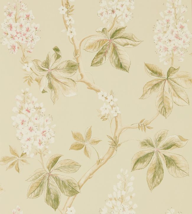 Chestnut Tree Wallpaper - Coral/Bayleaf - DWOW215709 - Sanderson - Morris Wallpaper