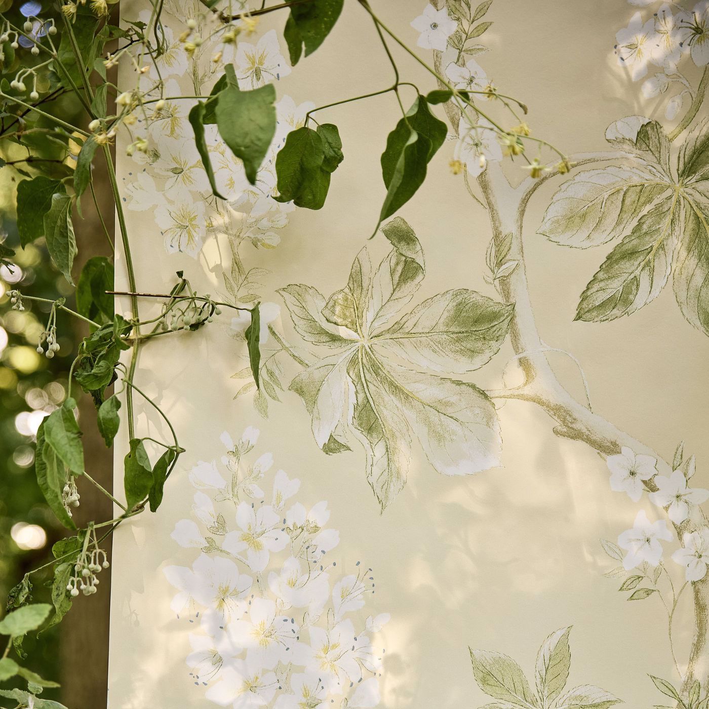 Chestnut Tree Wallpaper - Lemon/Lettuce - Sanderson - DWOW215707 - Morris Wallpaper