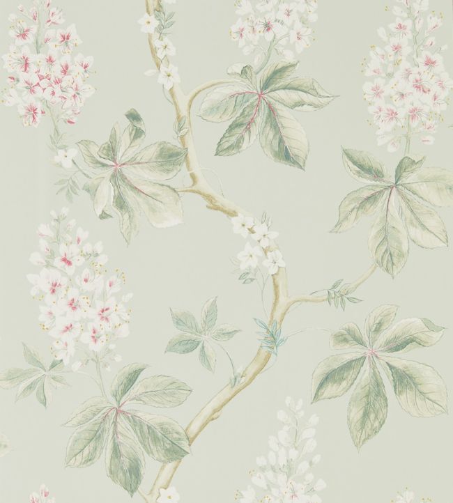 Chestnut Tree Wallpaper - Seaspray/Peony - DWOW215710 - Sanderson - Morris Wallpaper