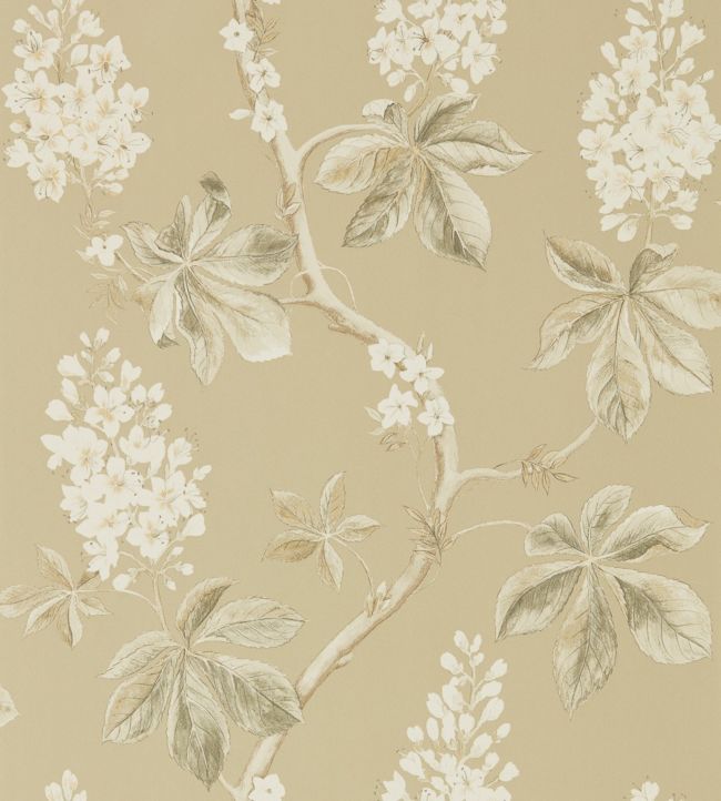 Chestnut Tree Wallpaper - Wheat/Pebble - DWOW215711 - Sanderson - Morris Wallpaper