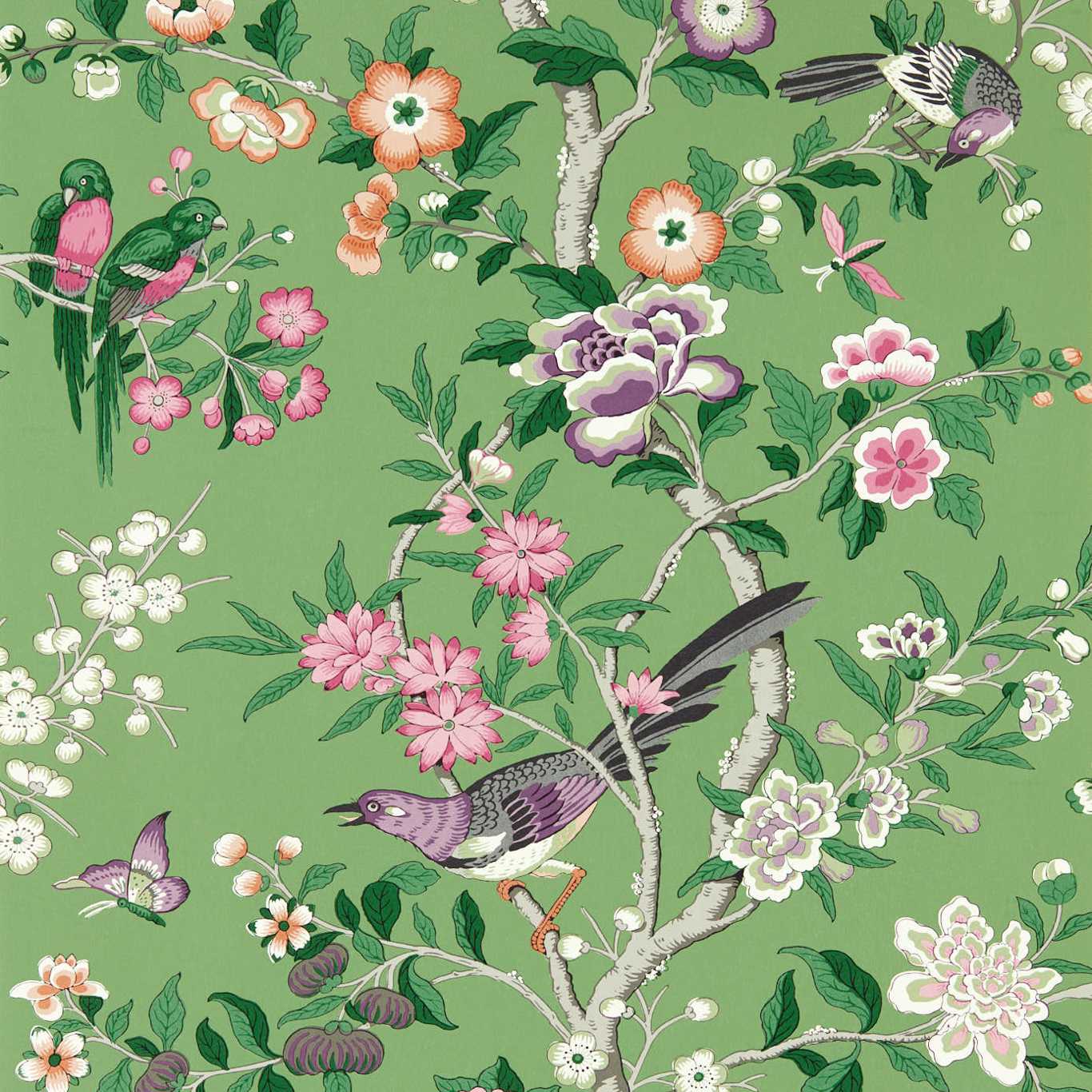 Chinoiserie Hall Wallpaper - Chinese Green/Lotus Pink - DWAW217110 - Sanderson - Morris Wallpaper