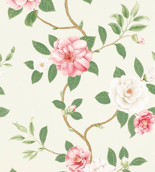 Christabel Wallpaper - Coral/Ivory - DVOY213374 - Sanderson - Morris Wallpaper