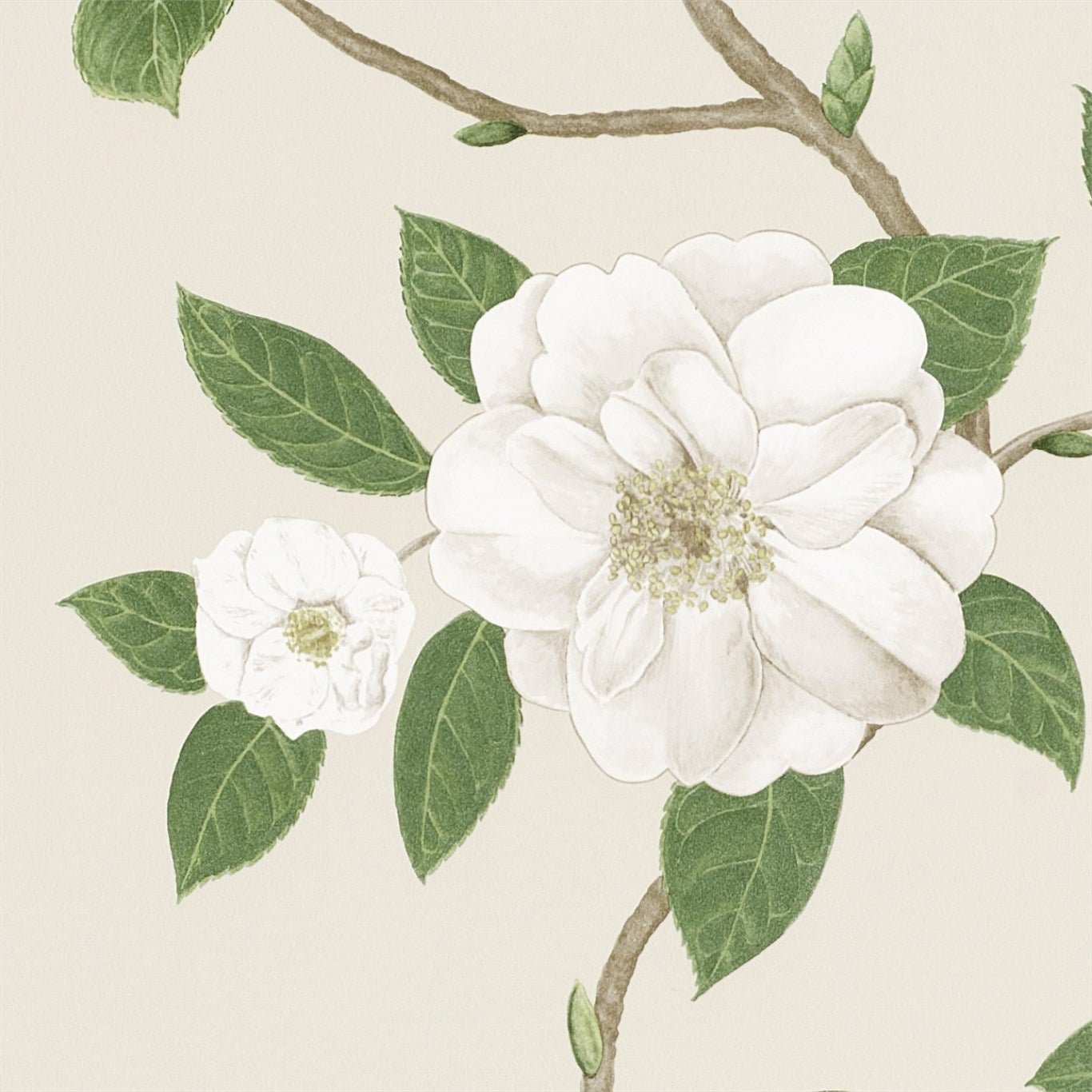 Christabel Wallpaper - Ivory/Cream - DVOY213380