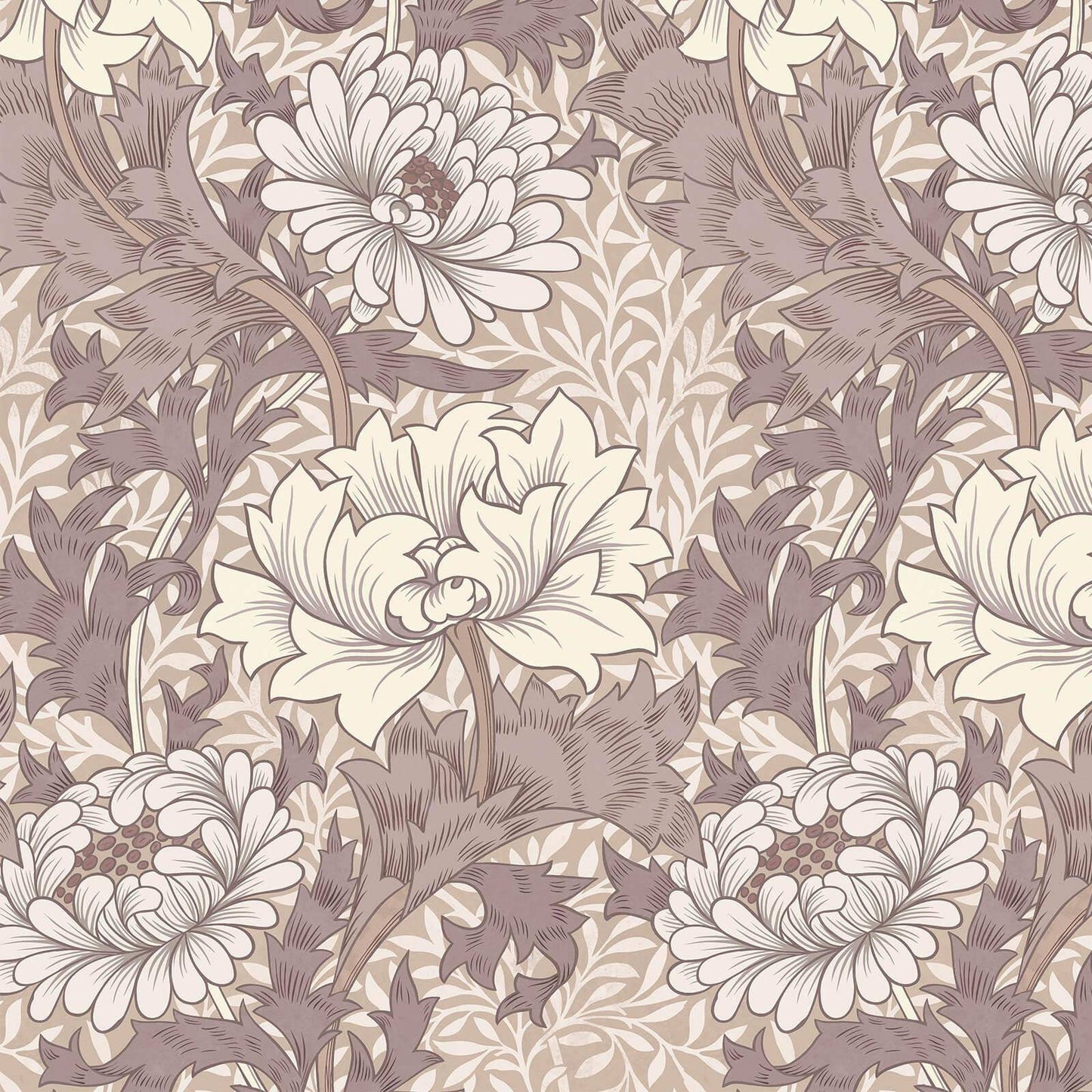 Chrysanthemum Magna Wallpaper - Astrantia - House of Hackney - 1 - WA - CHM - DI - ASA - XXX