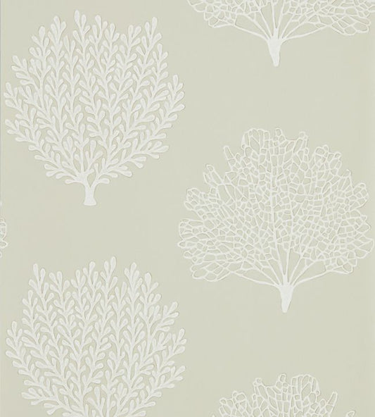 Coraline Wallpaper - Driftwood - DCOA216574 - Sanderson - Morris Wallpaper