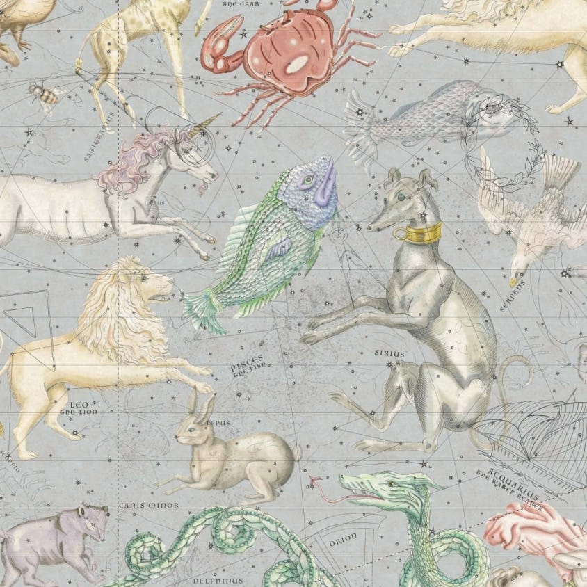 Cosmos Wallpaper - House of Hackney - 1 - WA - COS - DI - CEL - XXX