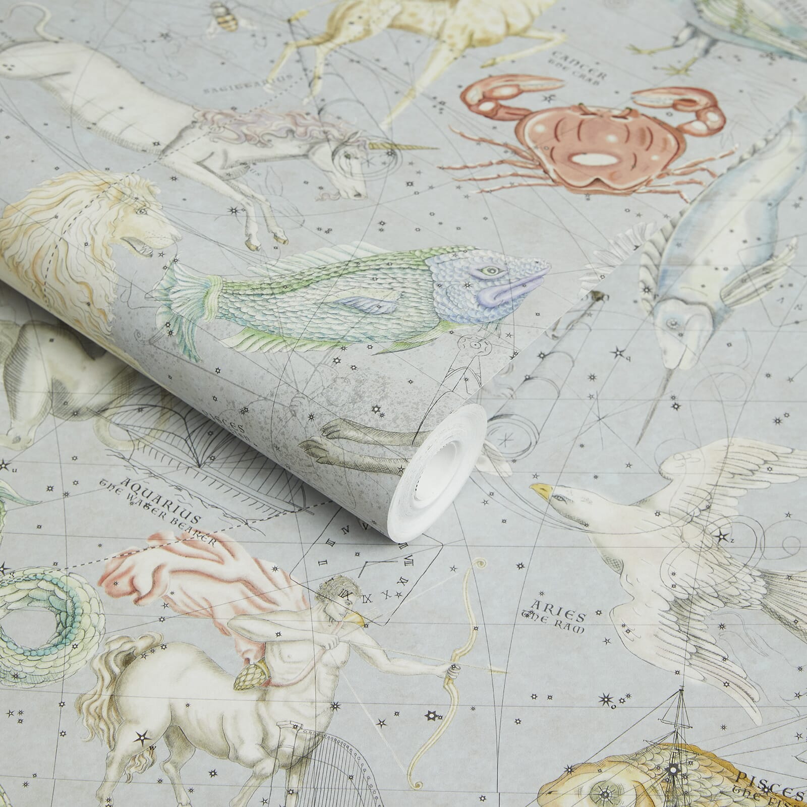 Cosmos Wallpaper - Celestial-Blue - House of Hackney - 1-WA-COS-DI-CEL-XXX - Morris Wallpaper