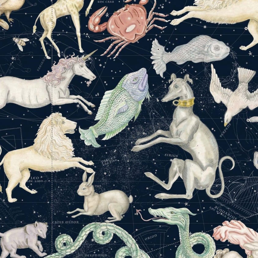 Cosmos Wallpaper - Midnight - House of Hackney - 1-WA-COS-DI-MID-XXX - Morris Wallpaper