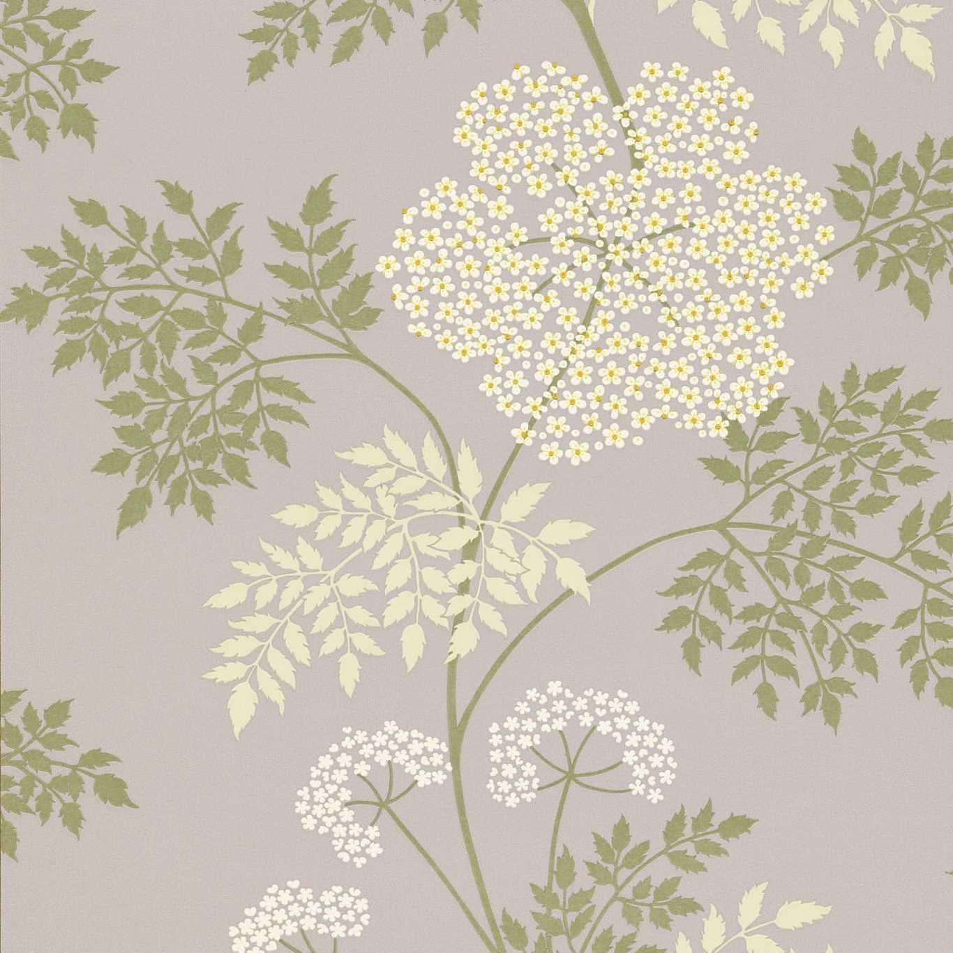 Cowparsley Wallpaper - Amethyst - DOPWCO103