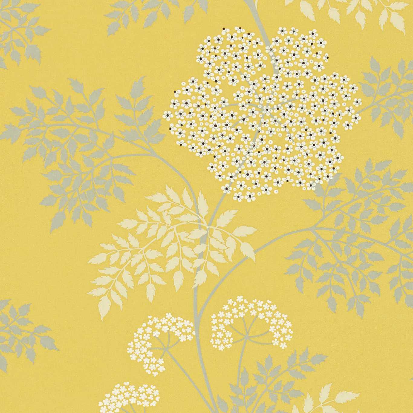 Cowparsley Wallpaper - Chinese Yellow - DOPWCO105 - Sanderson - One Sixty - Morris Wallpaper