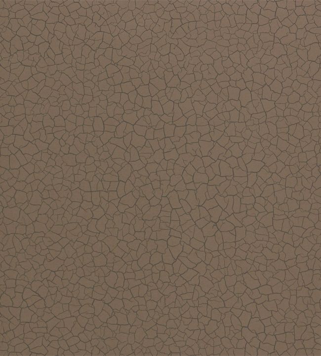 Cracked Earth Wallpaper - Bronze - ZAKA312529 - Zoffany - Morris Wallpaper