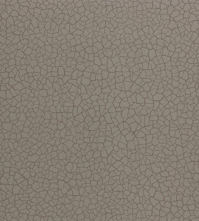 Cracked Earth Wallpaper - Gobi - ZAKA312527 - Zoffany - Morris Wallpaper