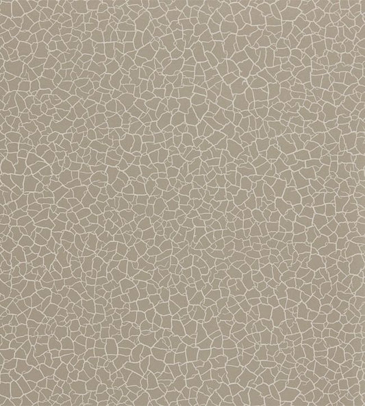 Cracked Earth Wallpaper - Stone - ZAKA312528 - Zoffany - Morris Wallpaper