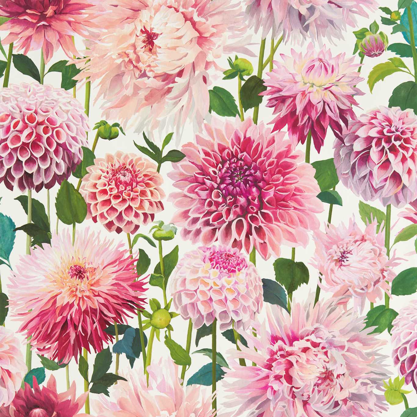 Dahlia Wallpaper - Blossom/Emerald/New Beginnings - HQN2112843 - Harlequin - Premier Wallcovering