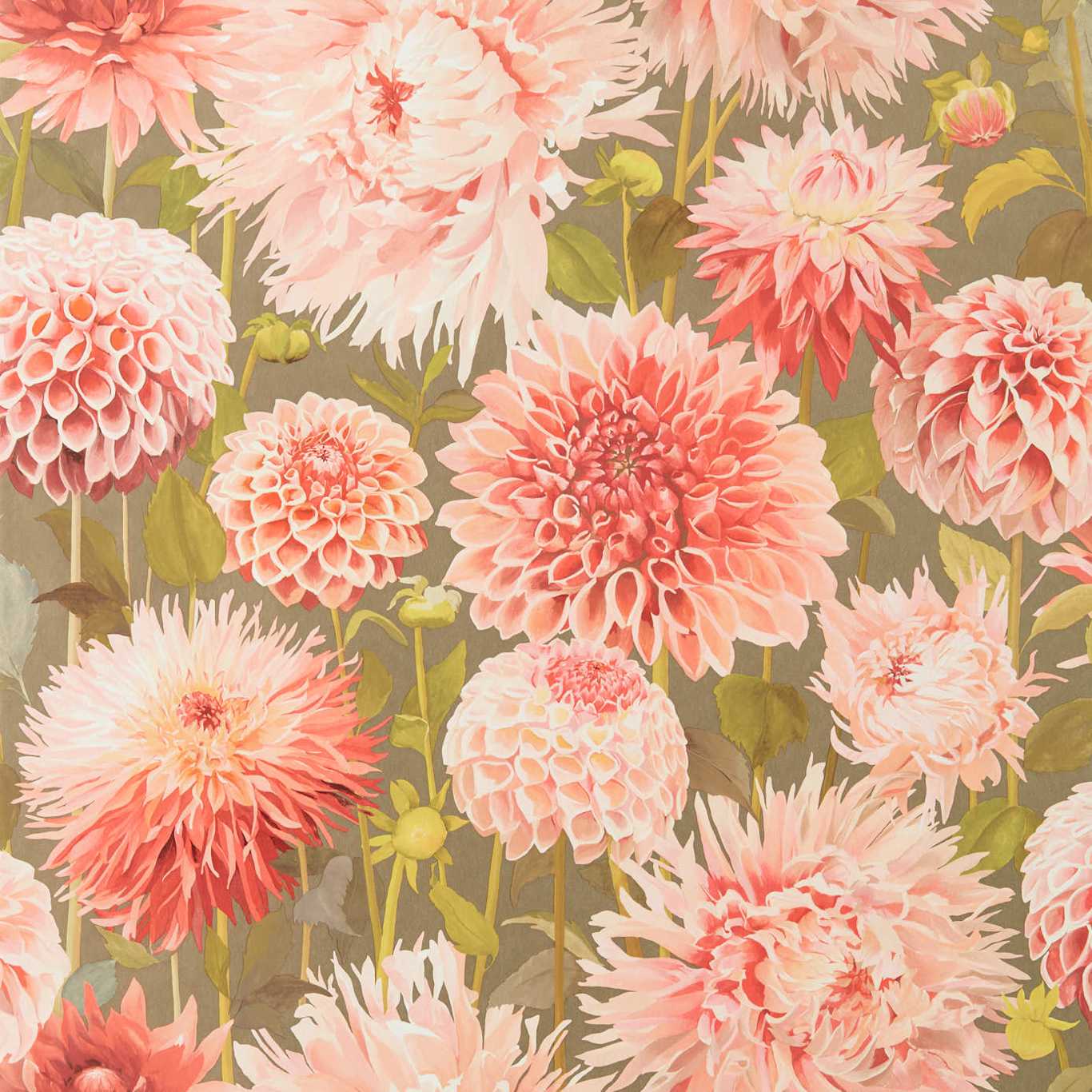 Dahlia Wallpaper - Coral/Fig Leaf/Gilver - Harlequin - HQN2112845 - Morris Wallpaper