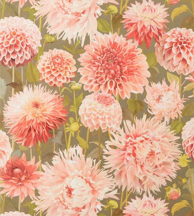 Dahlia Wallpaper - Coral/Fig Leaf/Gilver - HQN2112845 - Harlequin - Morris Wallpaper