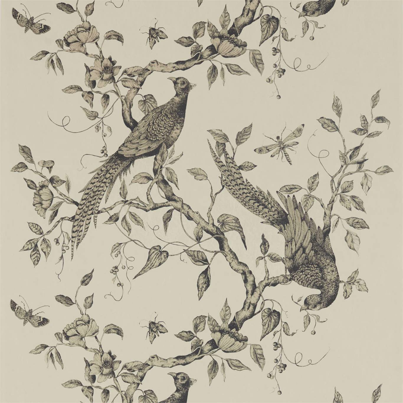 Darnley Wallpaper - Dove - Zoffany - ZDAR312849 - Morris Wallpaper