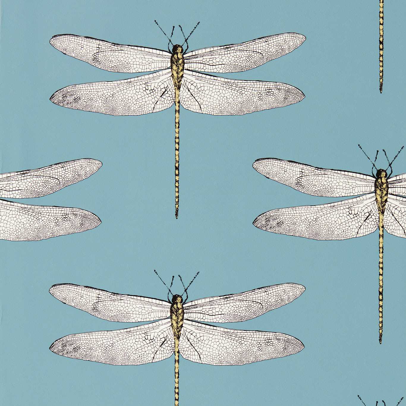 Demoiselle Wallpaper - Cornflower/First Light/Honey - Harlequin - HRTW113144 - Morris Wallpaper