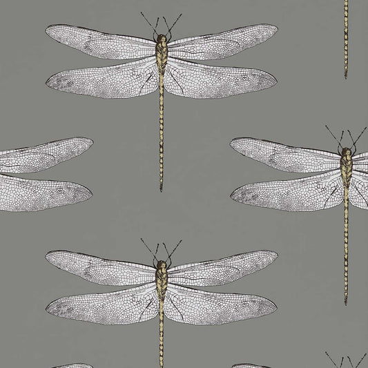 Demoiselle Wallpaper - Graphite/Almond - Harlequin - HGAT111242 - Morris Wallpaper